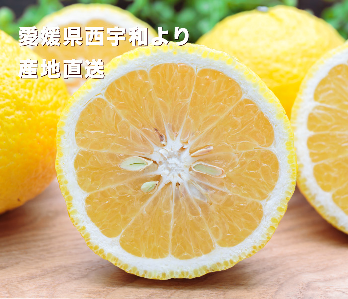 愛媛はるかイメージ