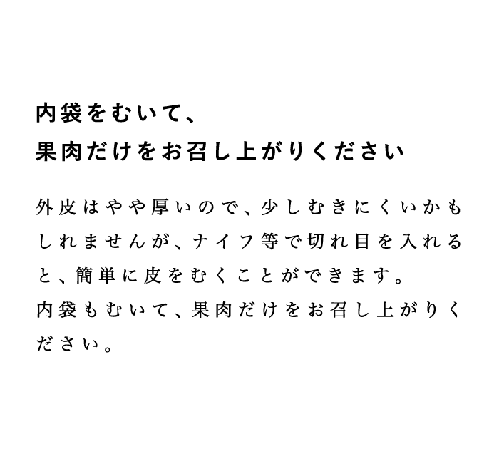 食べ方説明