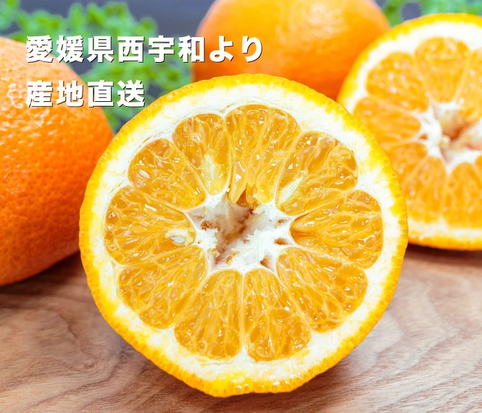 愛媛西宇和産いよかん