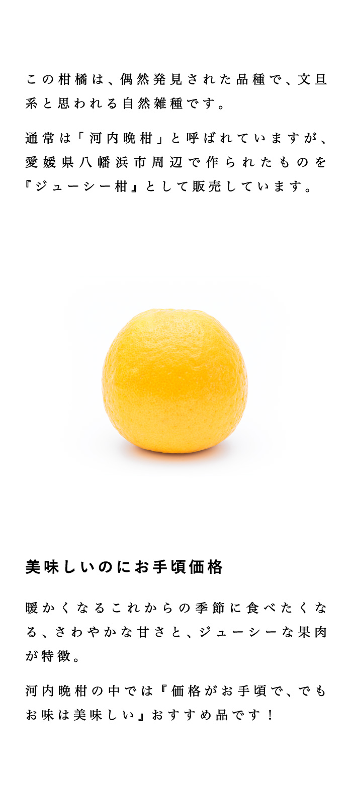 説明