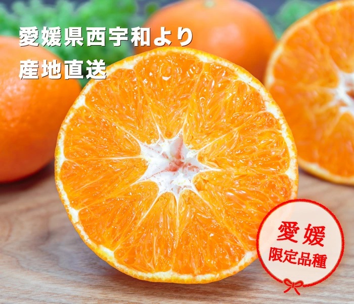 愛媛西宇和産甘平