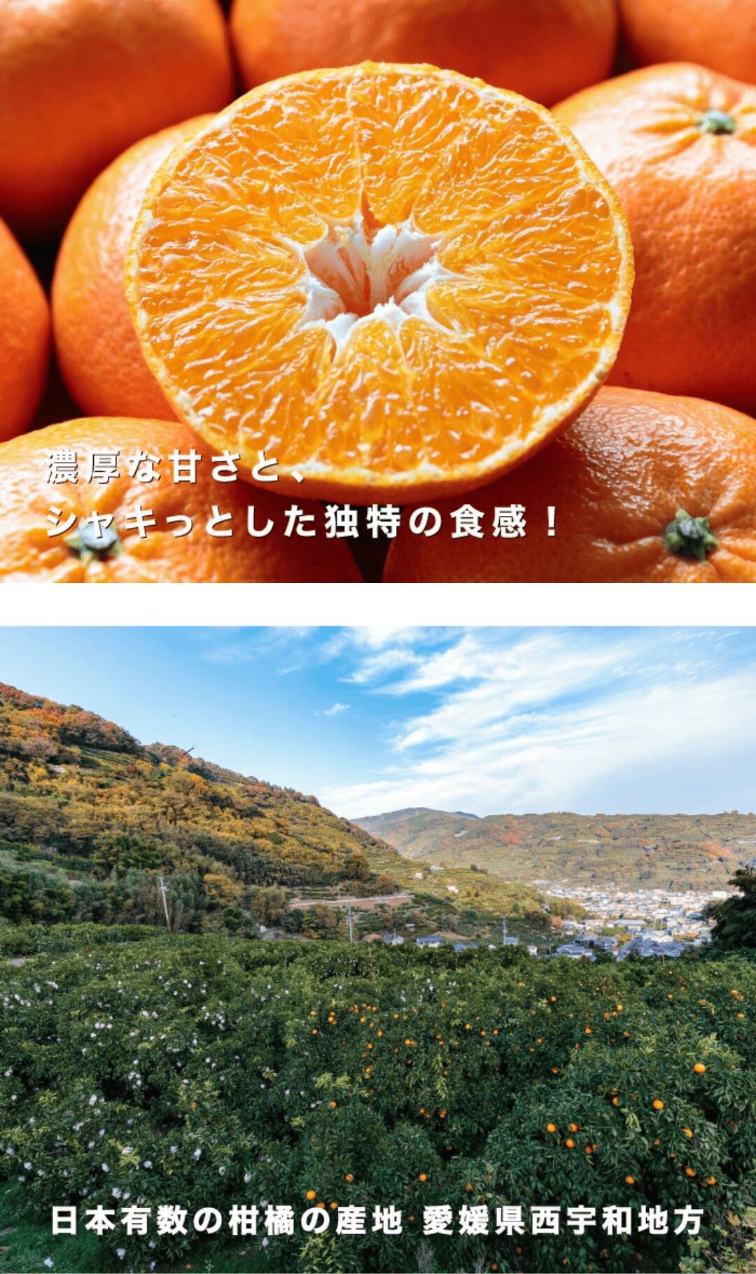 畑