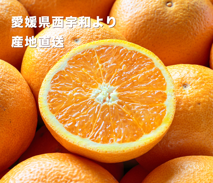 清見