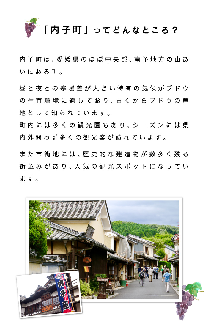 産地・内子町について