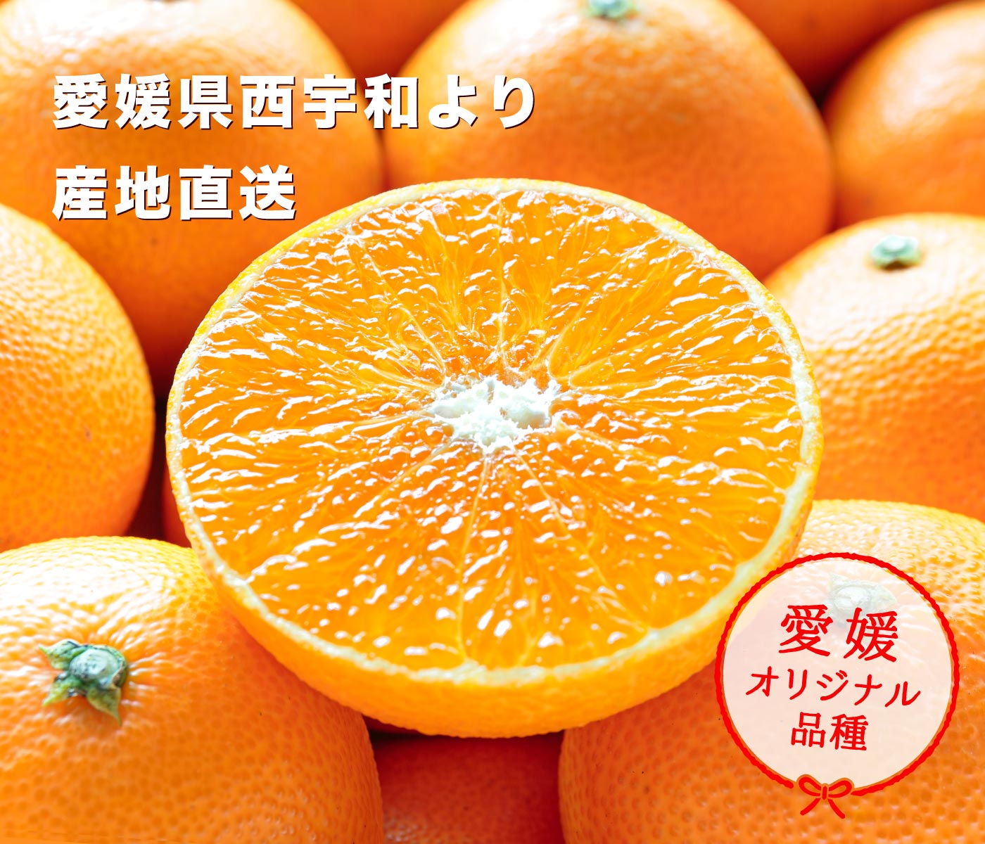 愛媛西宇和産愛媛まどんな