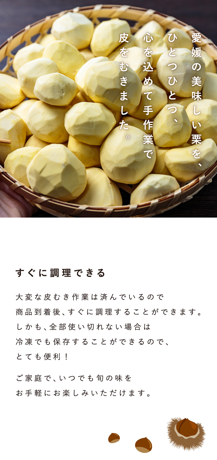 説明