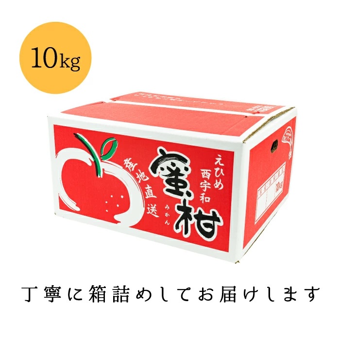 お試しみかん10kg荷姿