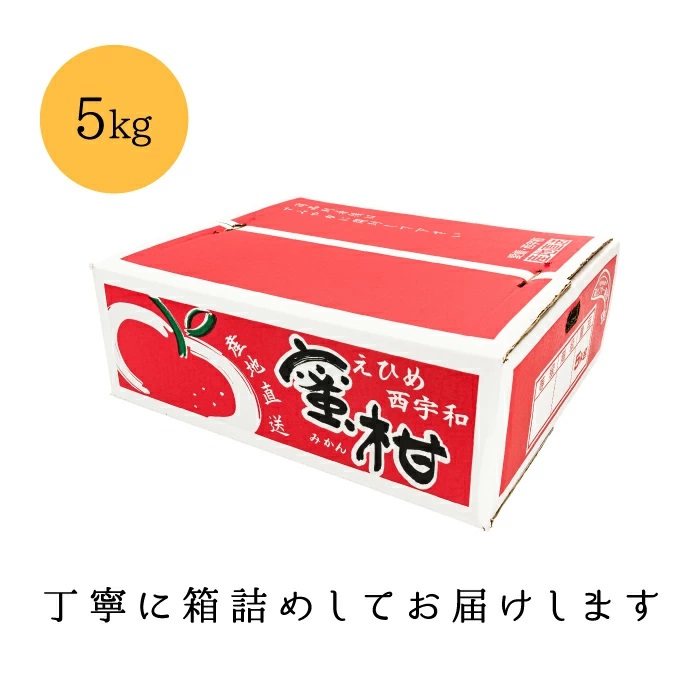 お試しみかん5kg荷姿