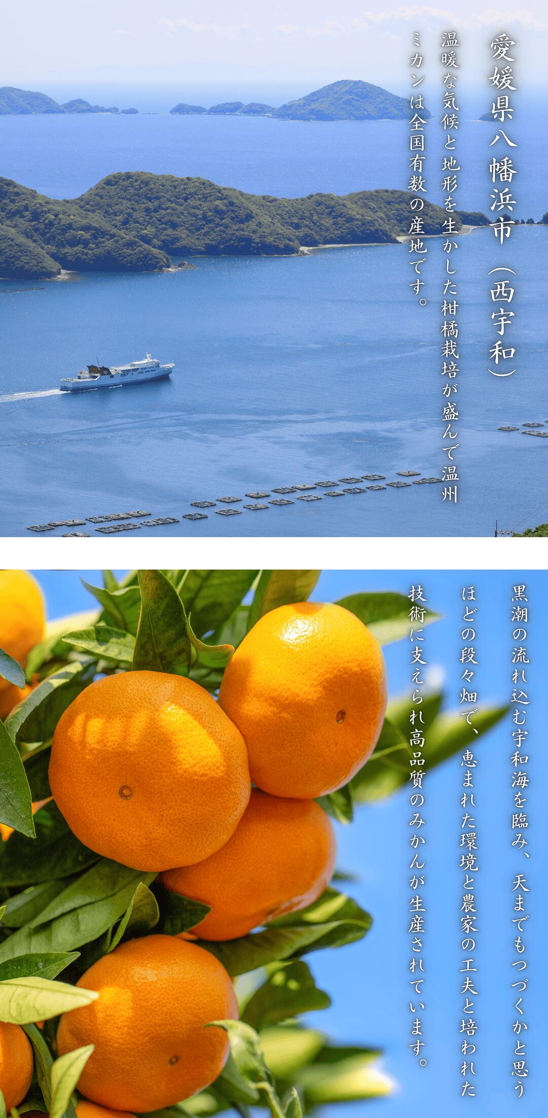八幡浜