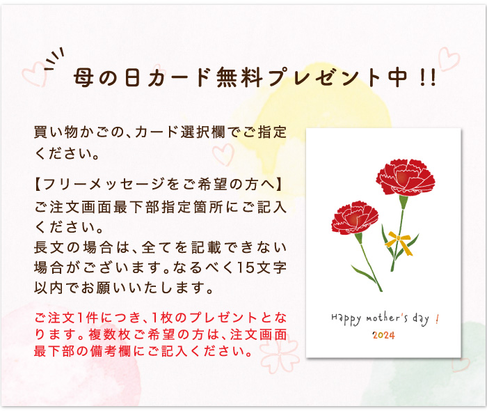 商品イメージ