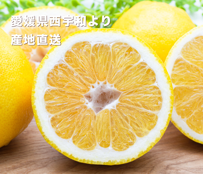 ナダオレンジイメージ
