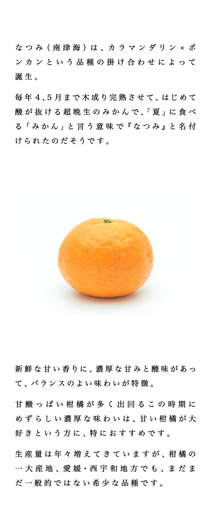 説明