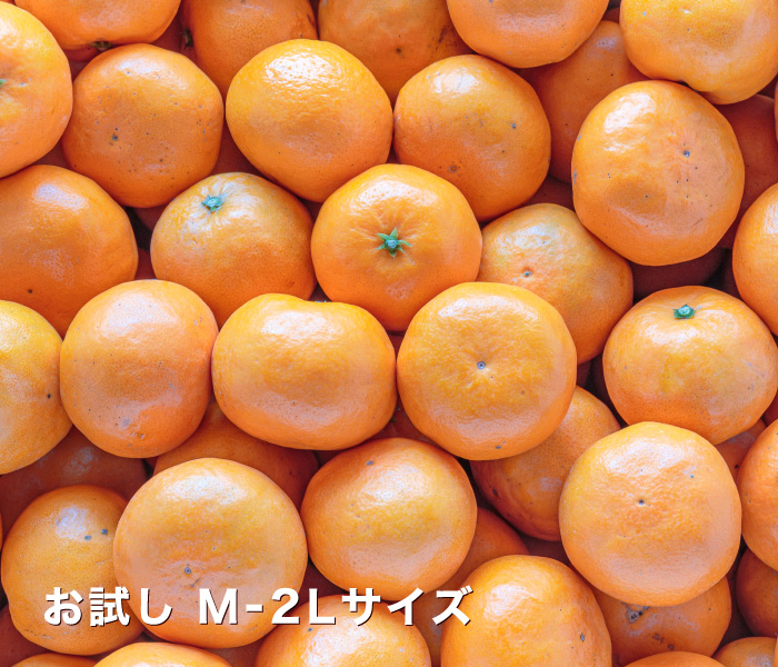 お試しはれひめ