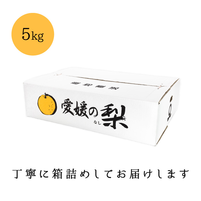 梱包イメージ