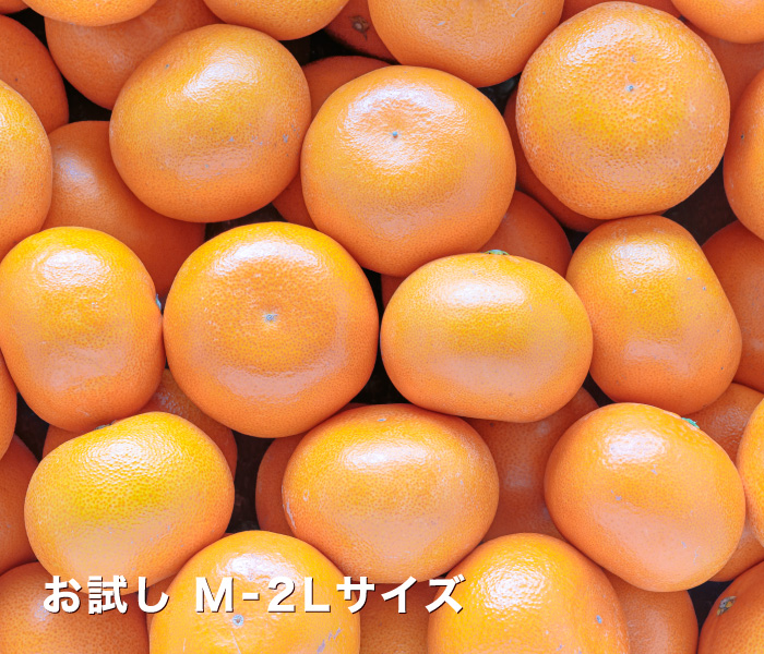 お試し用せとかイメージ
