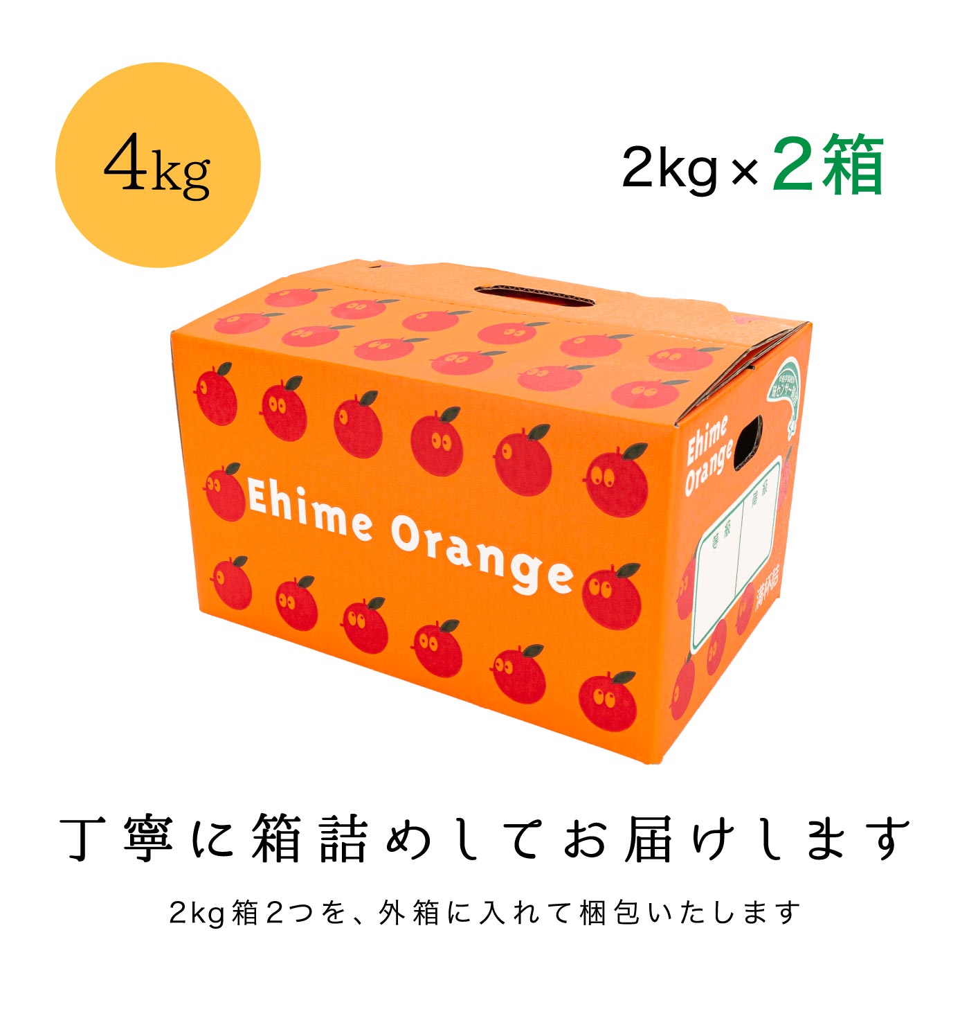 梱包イメージ