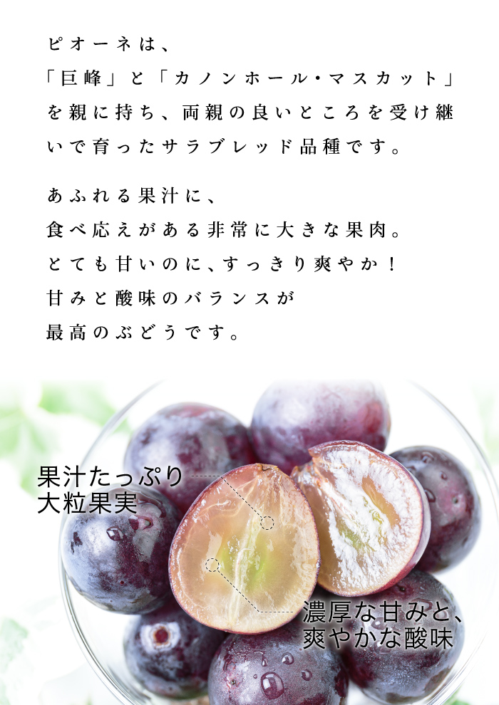 説明