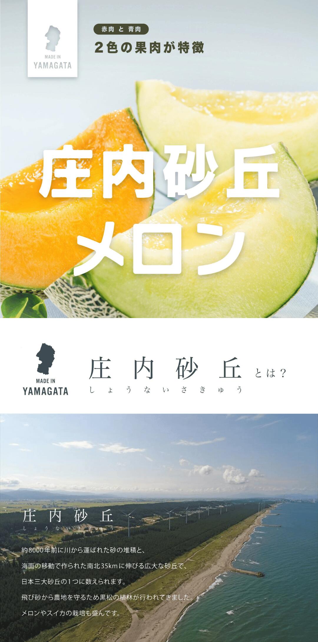 山形産庄内砂丘メロン