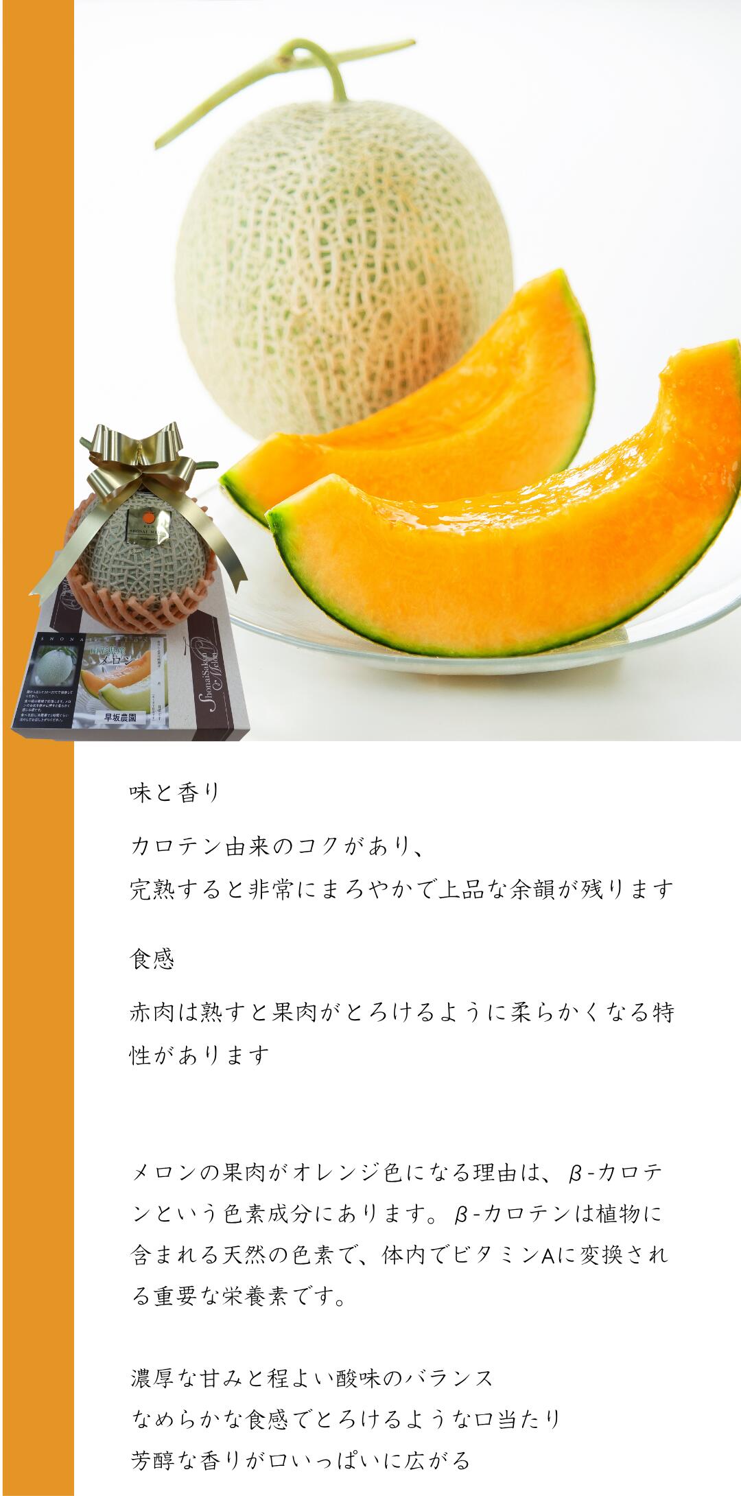 赤肉メロンについて