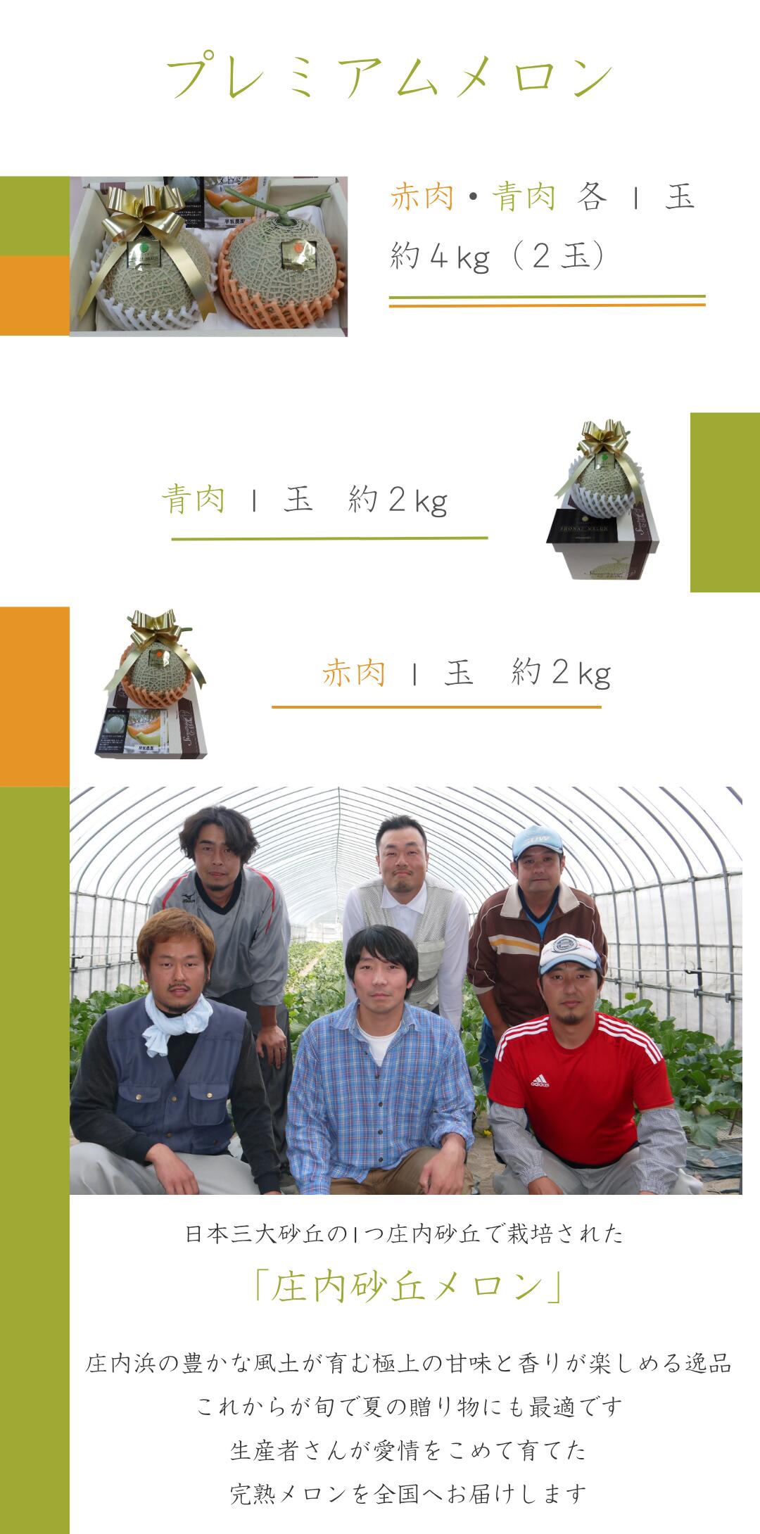 プレミアムメロンの荷姿イメージと生産者