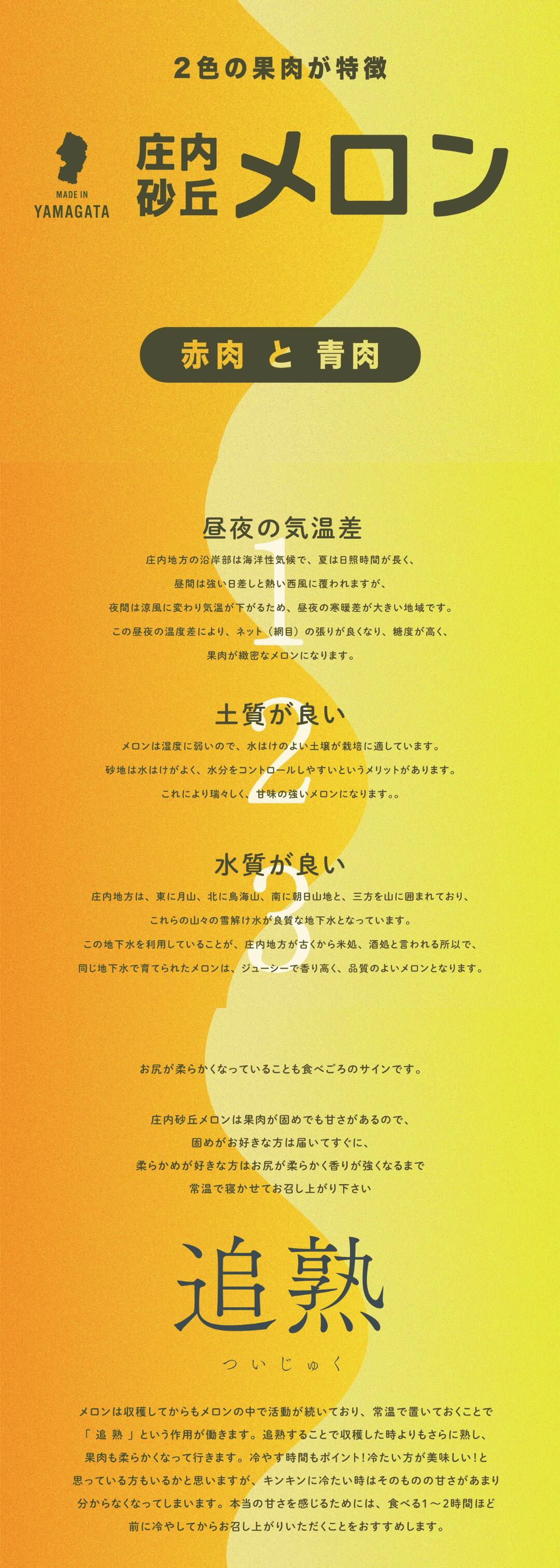砂丘メロン 追熟