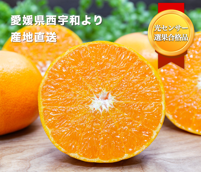 せとか