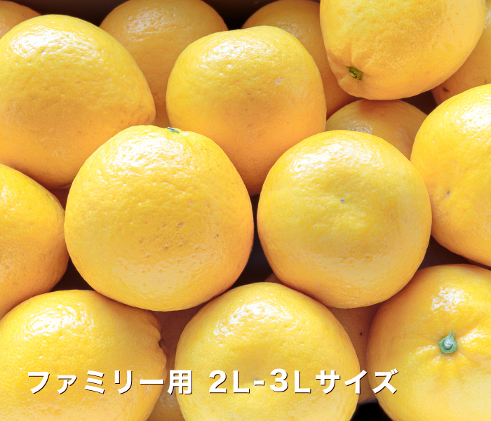 ファミリーイメージ