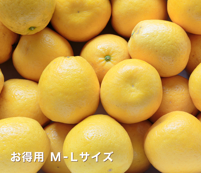 お得イメージ