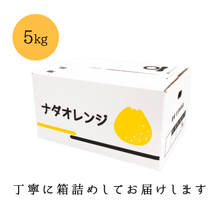 梱包