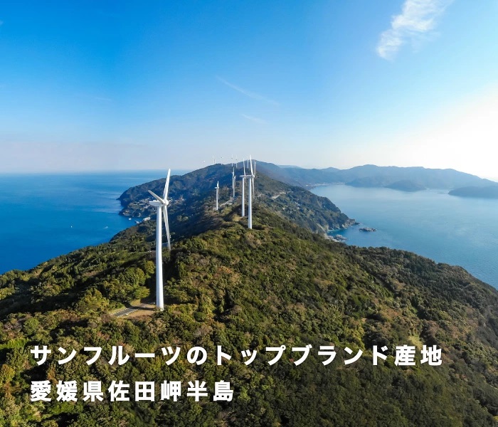 産地イメージ