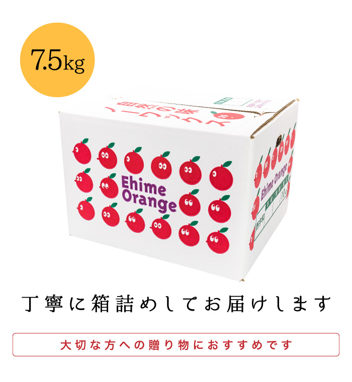梱包