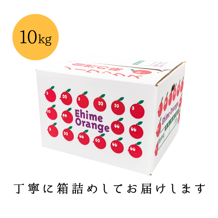 梱包