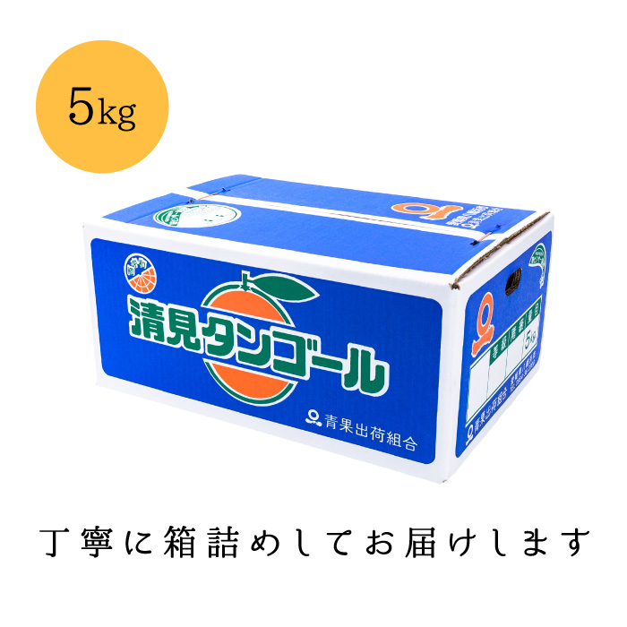 梱包