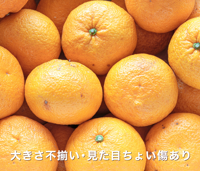 訳ありイメージ