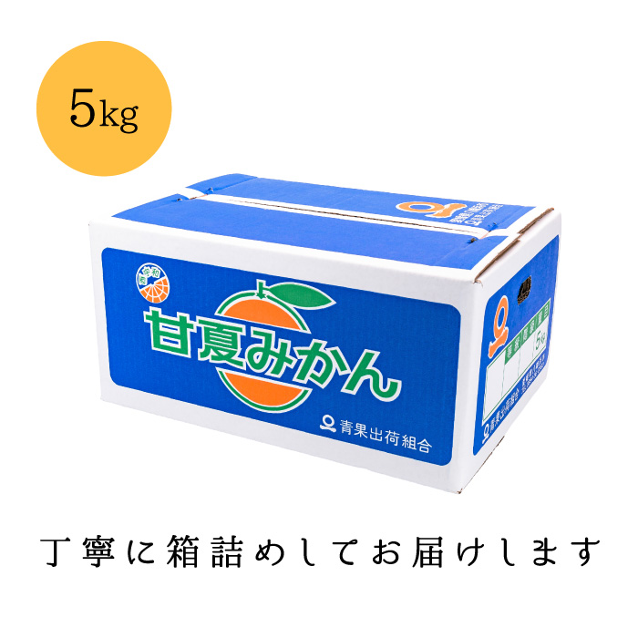 梱包