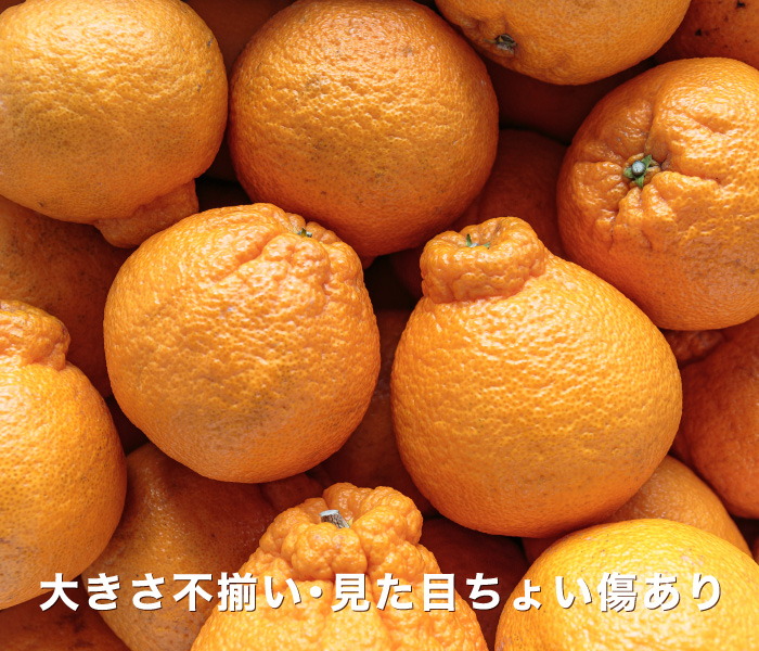 訳ありデコくんイメージ