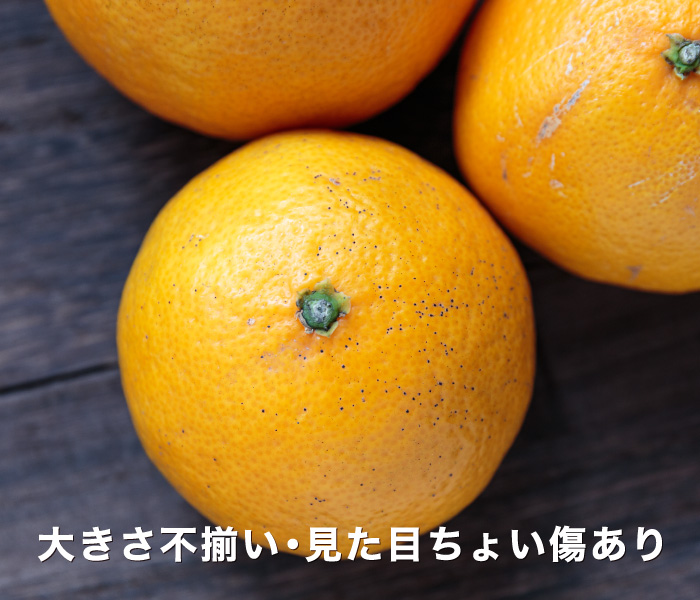 訳ありイメージ