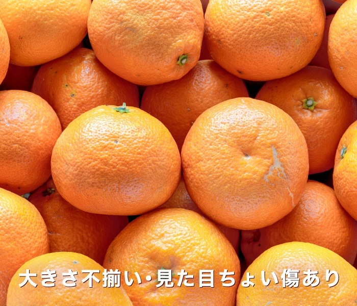 訳ありイメージ
