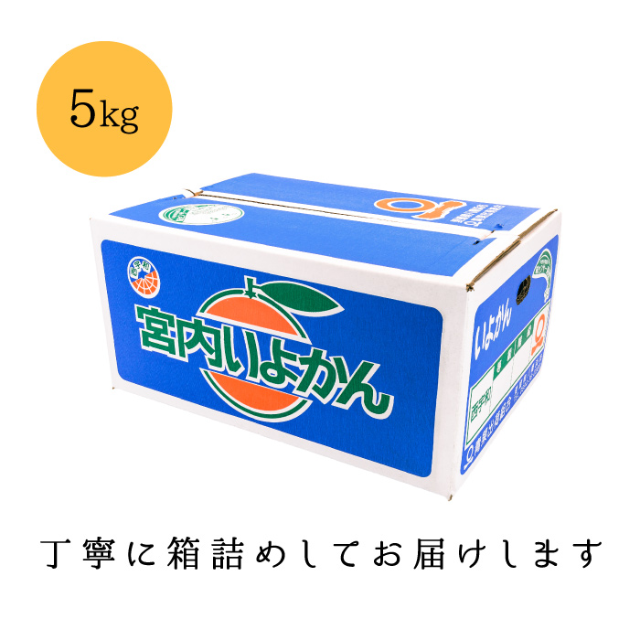 箱