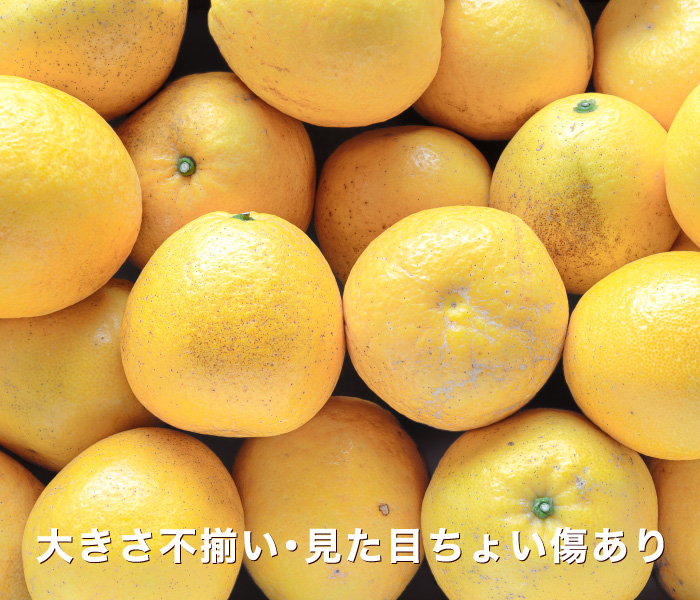 訳あり用イメージ