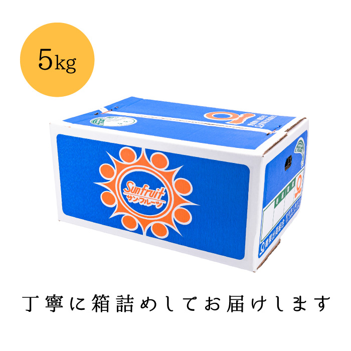 梱包