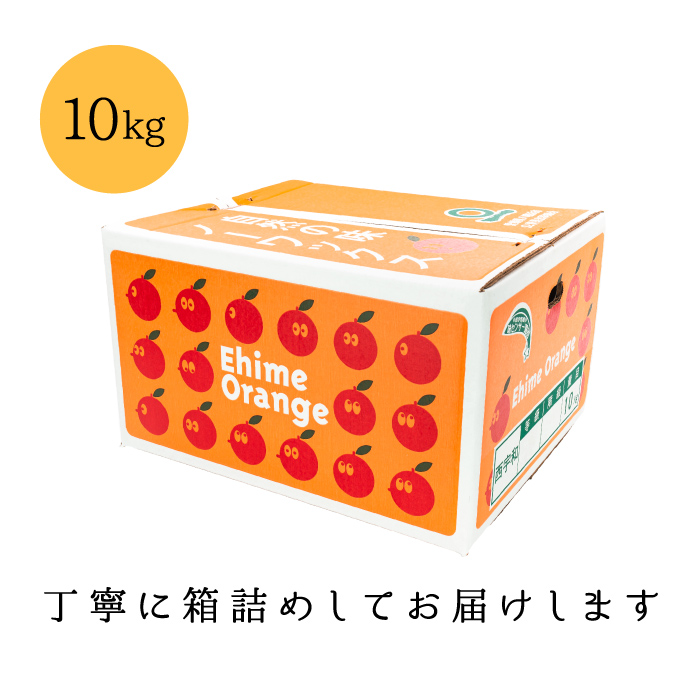 訳あり甘平3kg梱包
