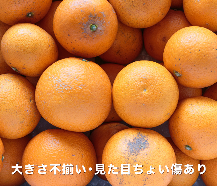訳ありイメージ
