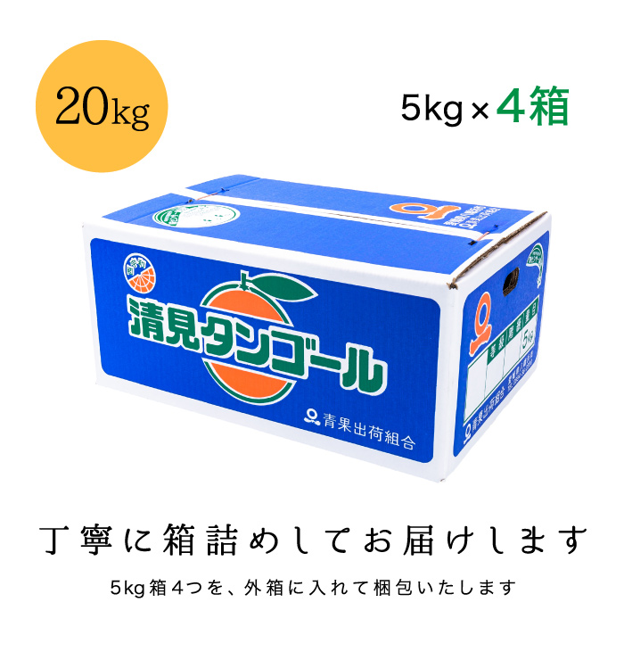 梱包