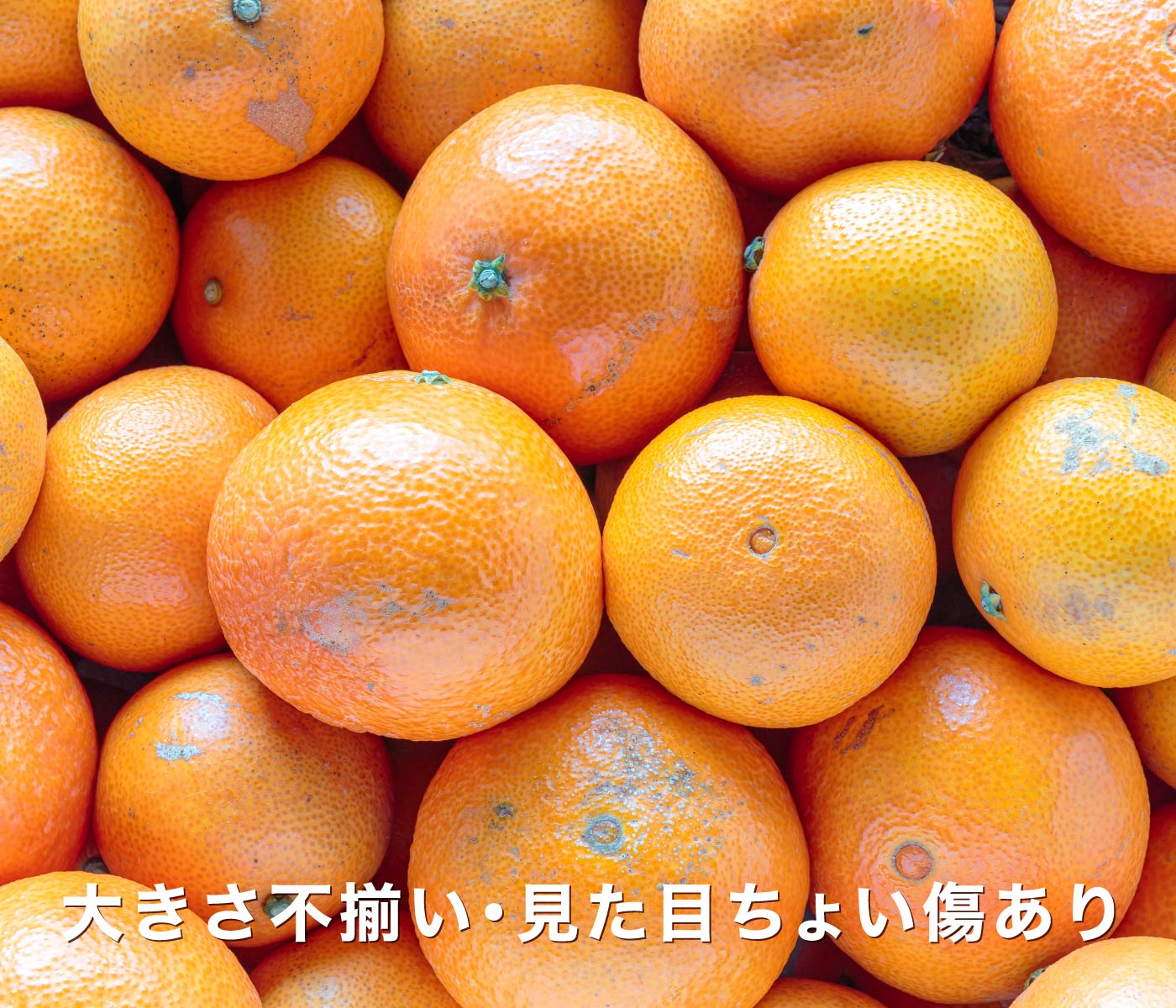 訳ありまどんな