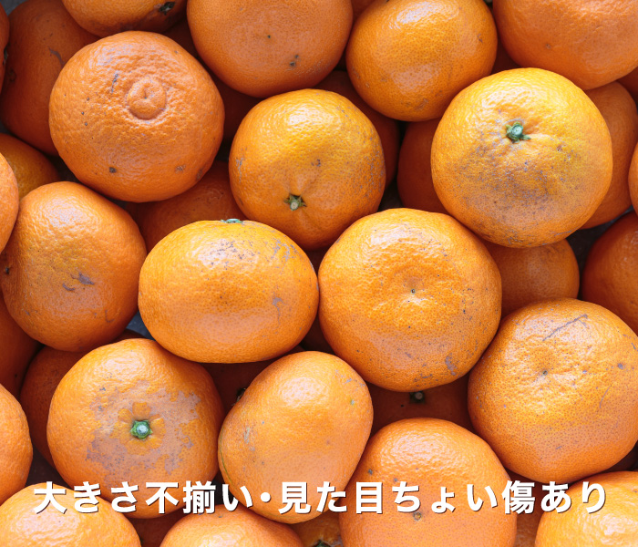 訳ありイメージ
