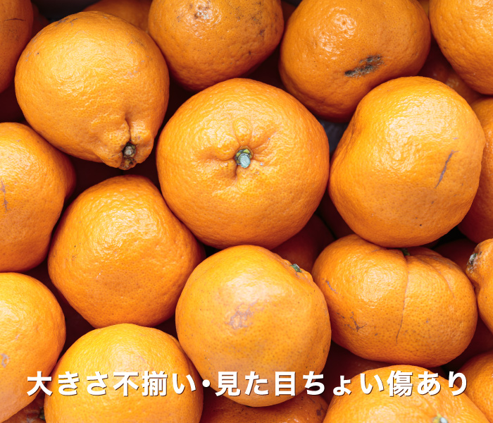 訳ありイメージ