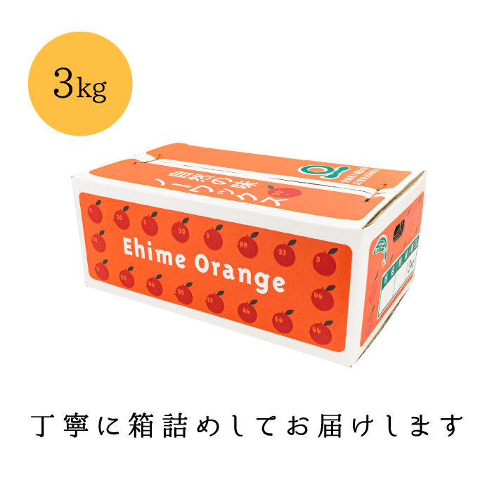 梱包