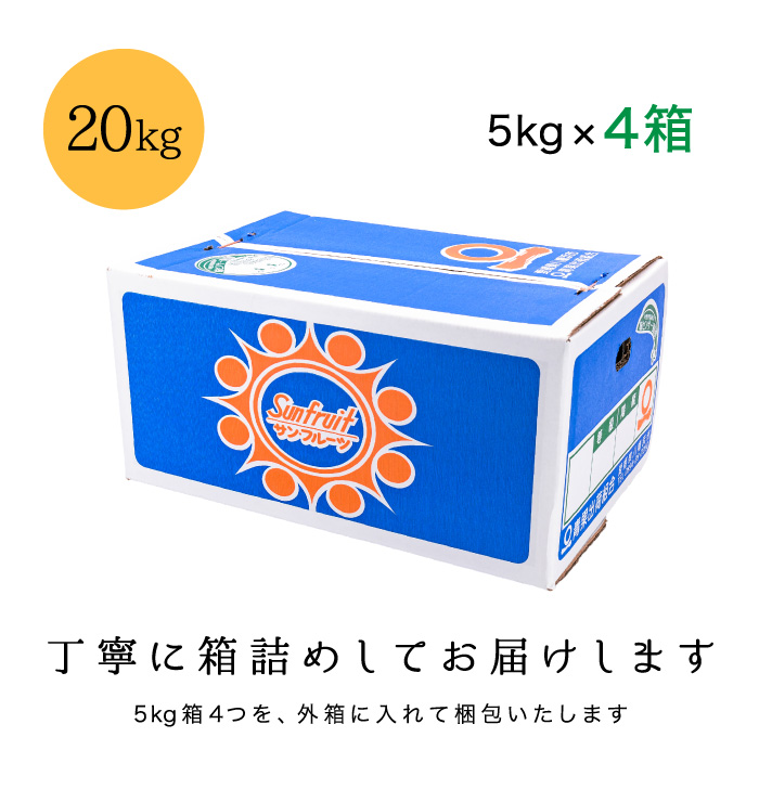 梱包