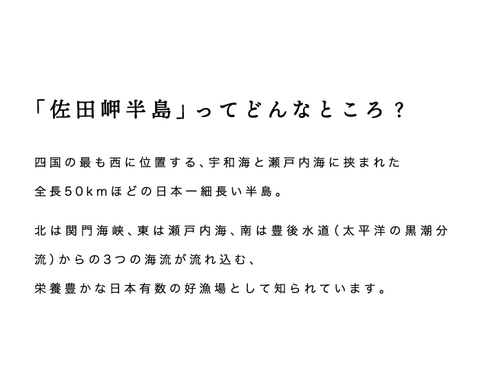 佐田岬半島について